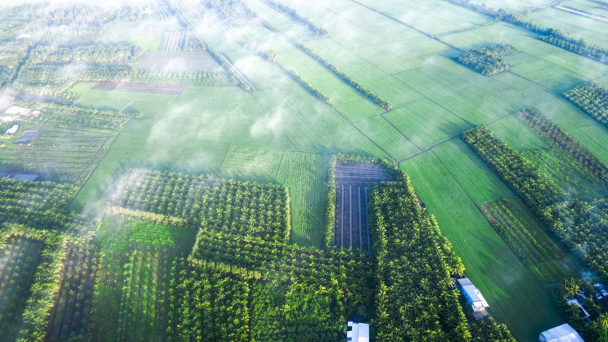 434587038 2755194111285429 8162207805623135056 n 1717381473