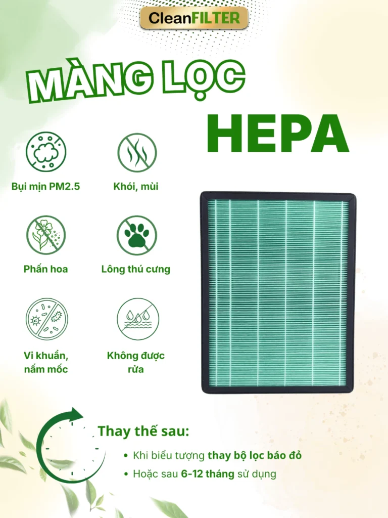 vn 11134207 81ztc mlsnq2lhzfup6b