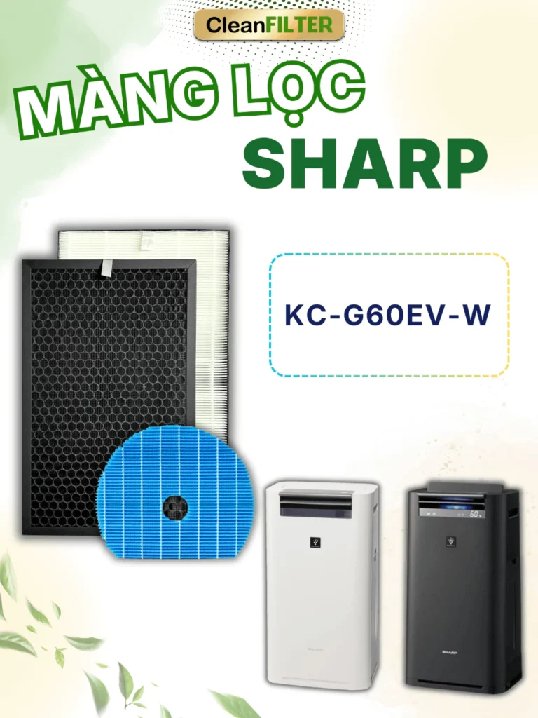 vn 11134207 81ztc mlsp7seoydc164